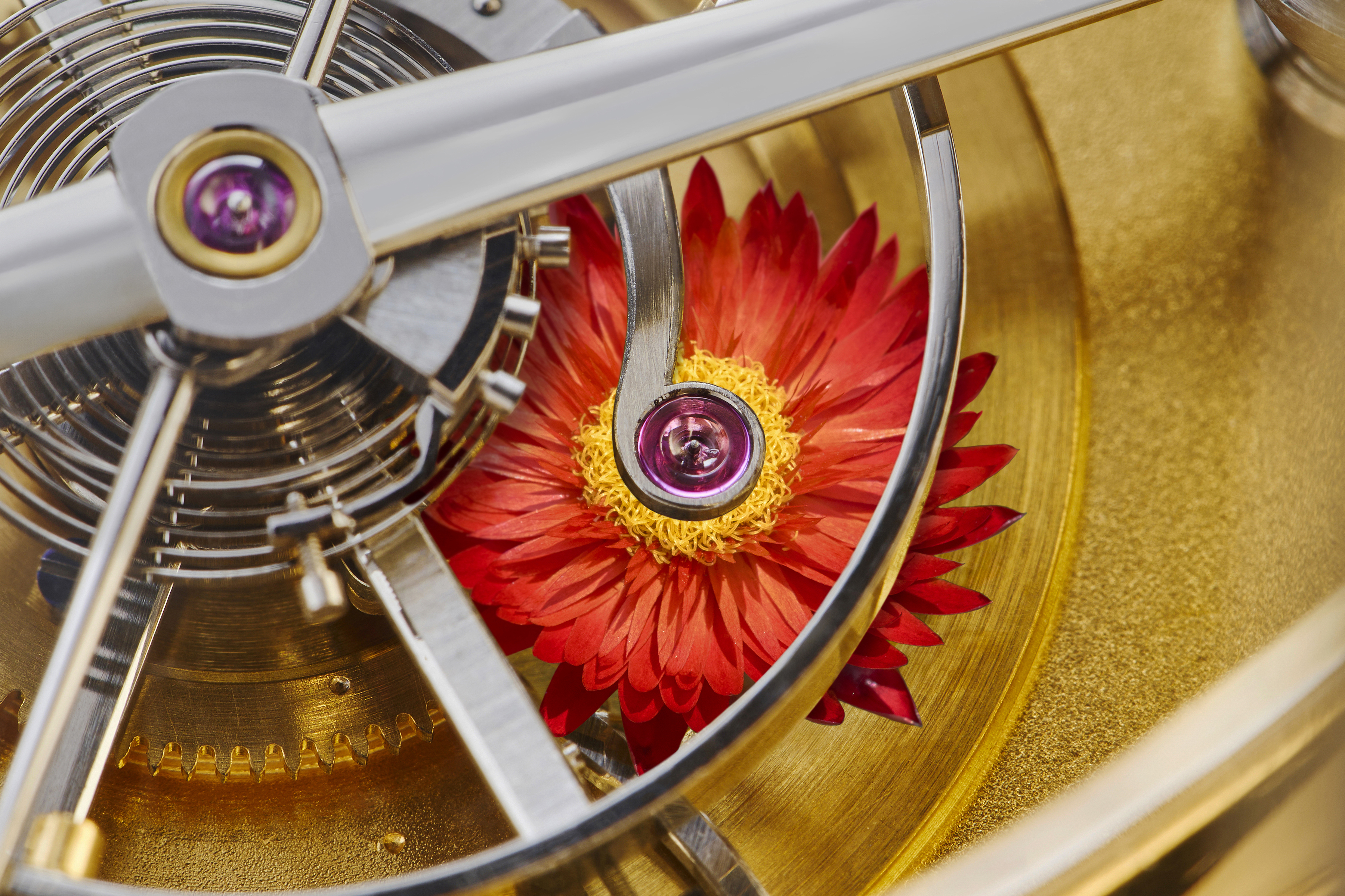 Atom Moore Strawflower No2 8x12