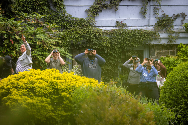 Wave hill Intro to Spring Birding credit Dave Sanders