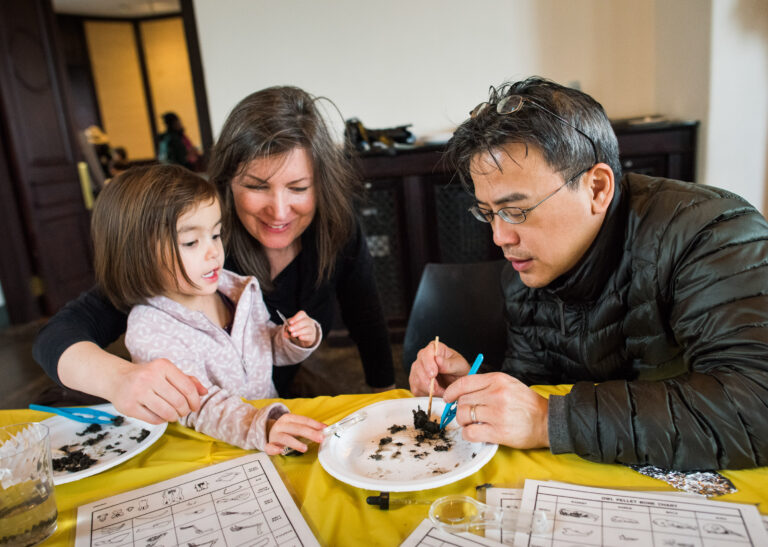 Wave hill Owl Pellet Dissection credit Joshua Bright