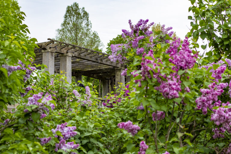 2020 spring events May Garden Highlights Walk Wave Hill 01